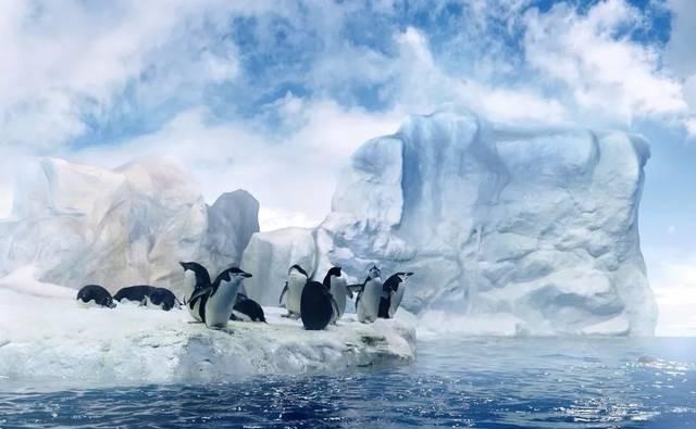 全球变暖 如果全球气候变暖无法阻止，中国最后会输会赢？会发生怎样的改变