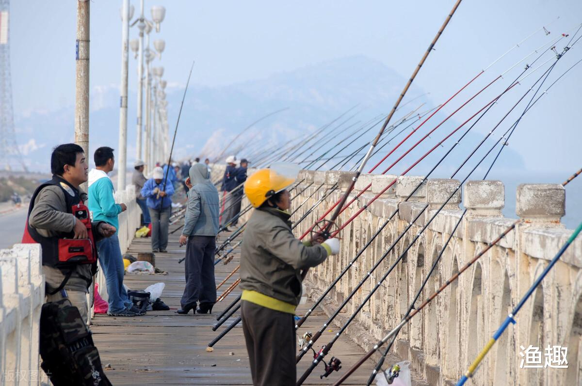 |钓鱼人需要注意了！这6种垂钓被禁止，还有2种鱼饵不能用
