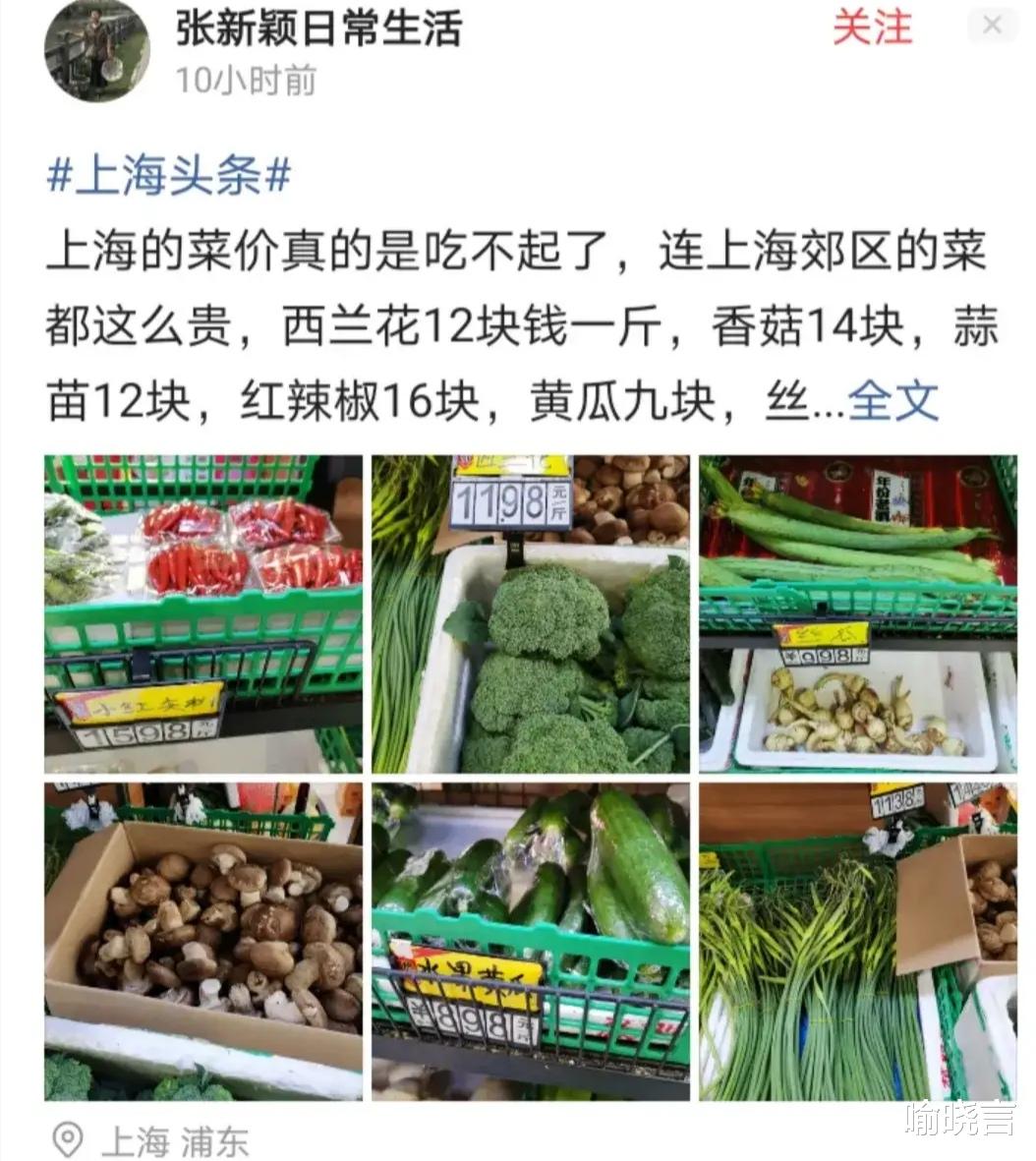 喻晓言 吃不起菜问题很严重,菜价乱象该休了!