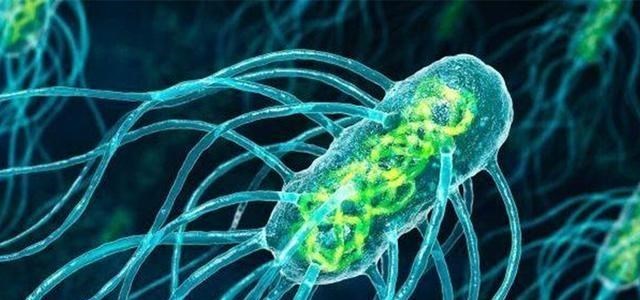 科学家 为了永生,科学家为自己注射350万年前的细菌,现在怎样了?