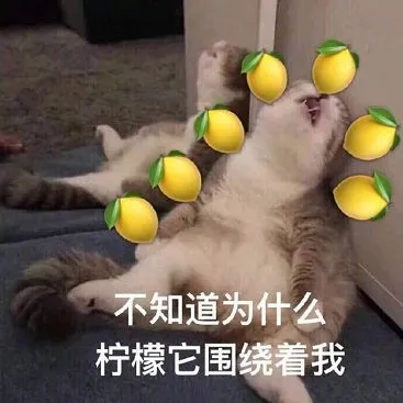 女孩|卡戴珊家族未P泳照曝光,好身材都是假的?网友:看完舒服多了!