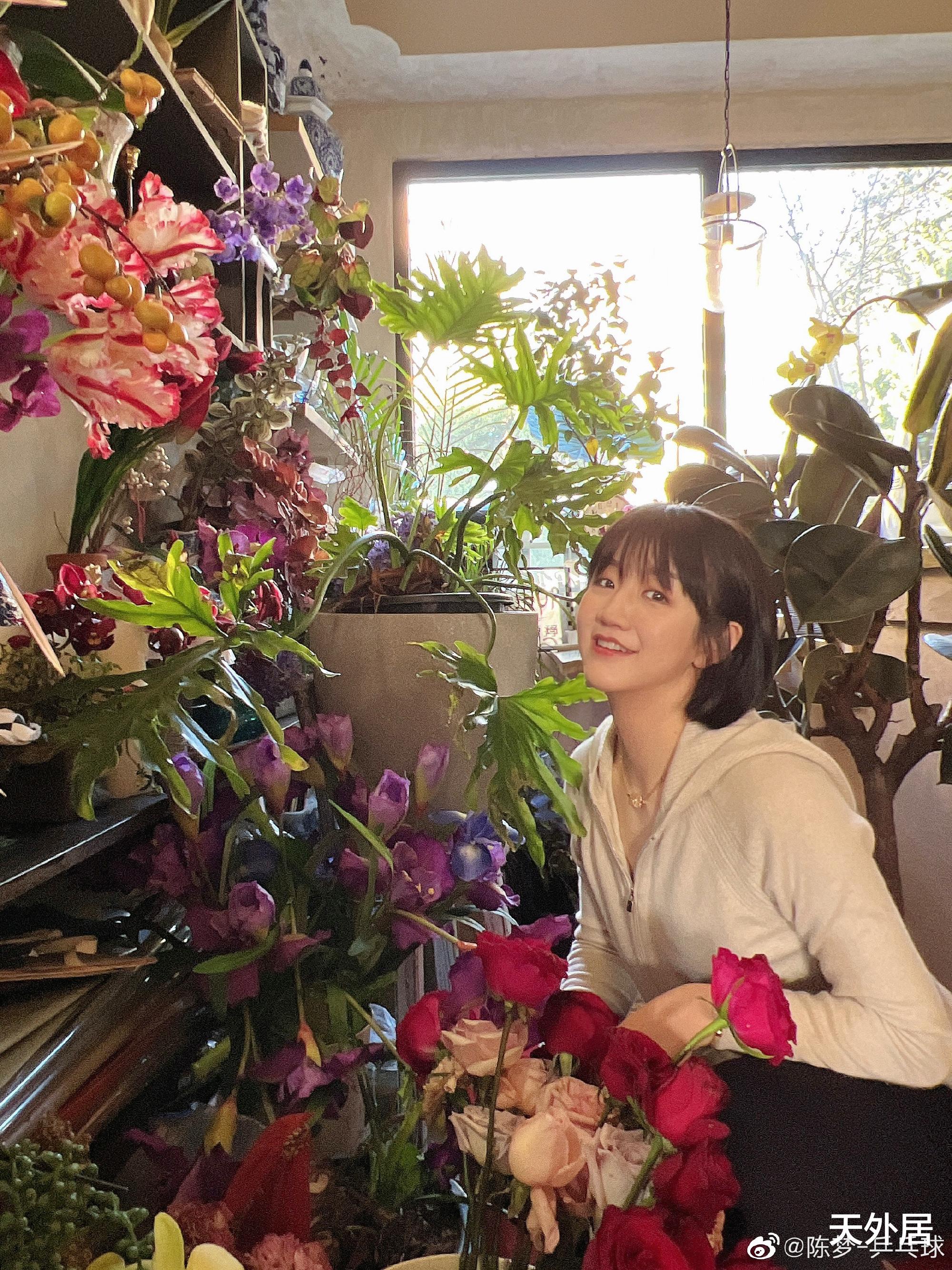 陈梦|陈梦再晒美照：生活精致，名媛风十足！网友：陈梦的美丽暴击