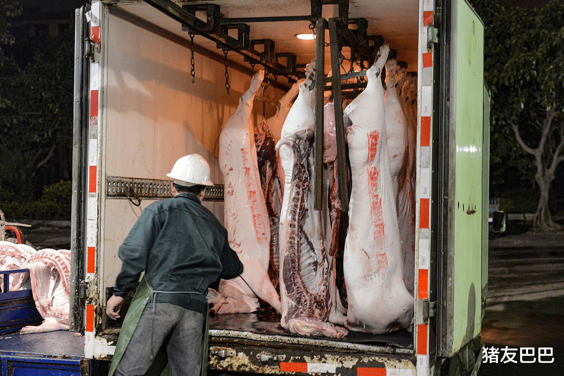 豬肉價格連降11周，豬價反撲大漲，肉價要漲回30元一斤？預測來瞭-圖5