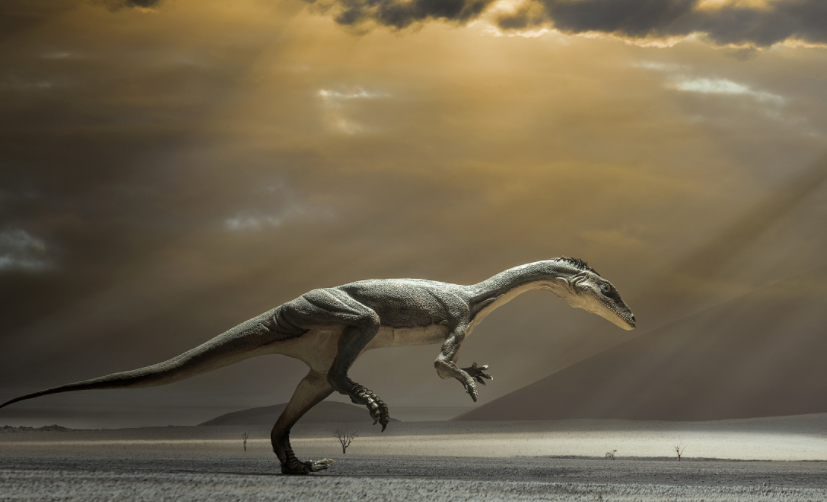 恐龙|沙漠中生活着什么样的恐龙？化石记录了证据