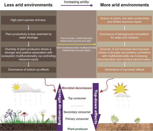 干旱 旱区保卫战，可以这样打