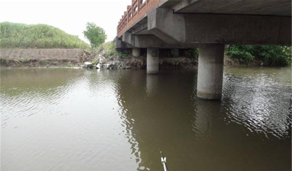 |5月初夏钓鱼，不用着急钓深水，这些浅水位置有鱼窝，还能钓几波