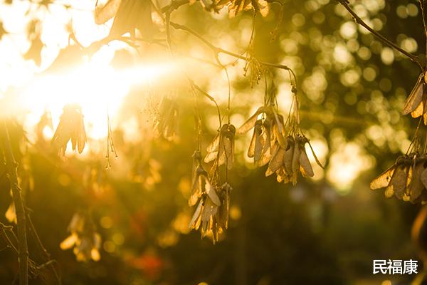 腰肌劳损|5点起床好,睡眠质量高?60岁以后适合睡多久?