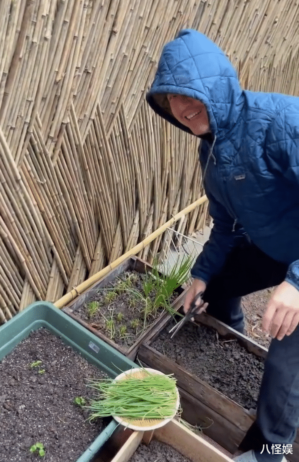 孙俪|邓超淋雨剪葱一棵不剩被孙俪安排全天吃葱，自侃“葱动”逗笑老婆