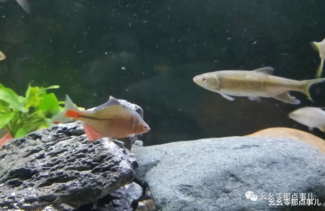 饵料|还记得您的第一根钓竿吗？我的才79元，现在用起来还很顺手！