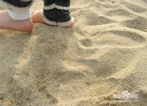 舜网 涨知识：为什么在沙漠中渴死的骆驼是不能碰的？