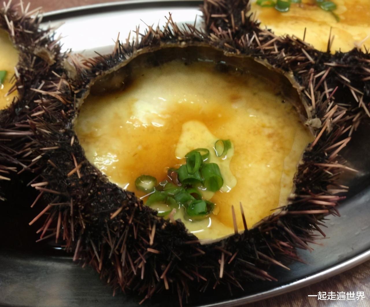 穷游 三亚海胆事件，为什么有那么多人关注？