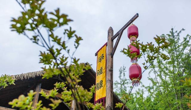 旅行呀文龙 历经2000余年,成就蜀道难中一段“皇柏大道”,如今的翠云廊