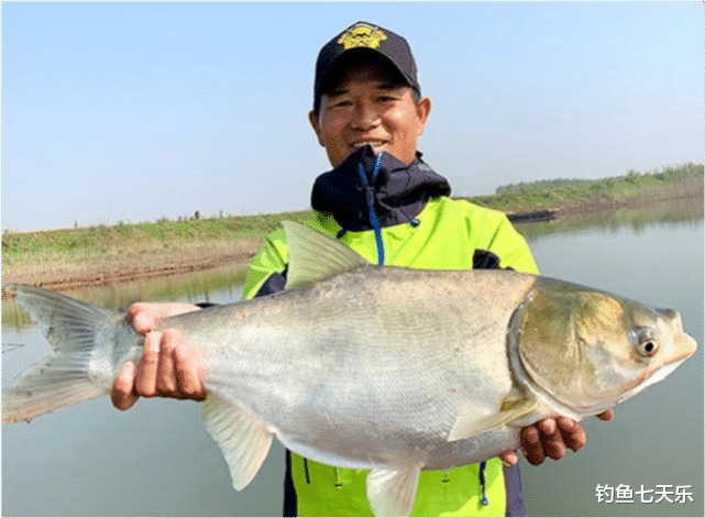 秋分|钓鱼界的“天花板”，更像娱乐界的明星！钓王邓刚的成功绝非偶然