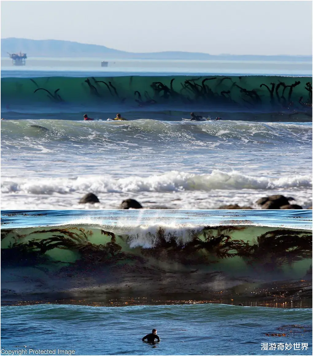 看完这30张图，深海恐惧症彻底发作了…