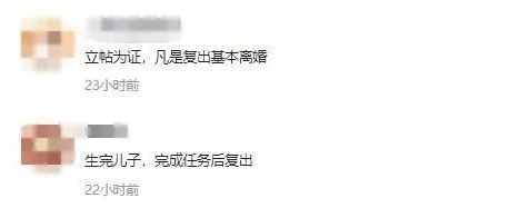 孙莉|女神为爱退圈12年，突然复出惹全网争议：恩爱终究是演不下去了？