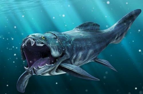 化石 远古深海最可怕的五种生物