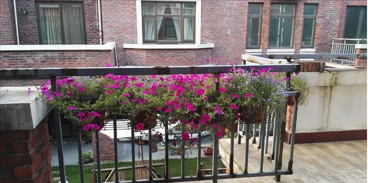 荒废了四年的10㎡北露台,改造成花园后,成了全家人最爱待的地方