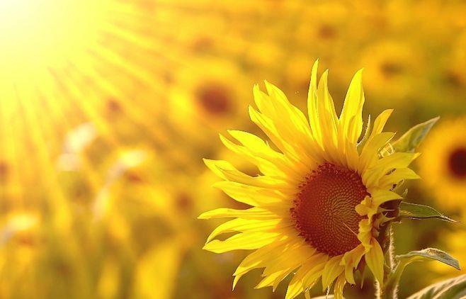 肺病|肺结节患者或有这几种并发症，教你几个养肺的方法，不妨学习下