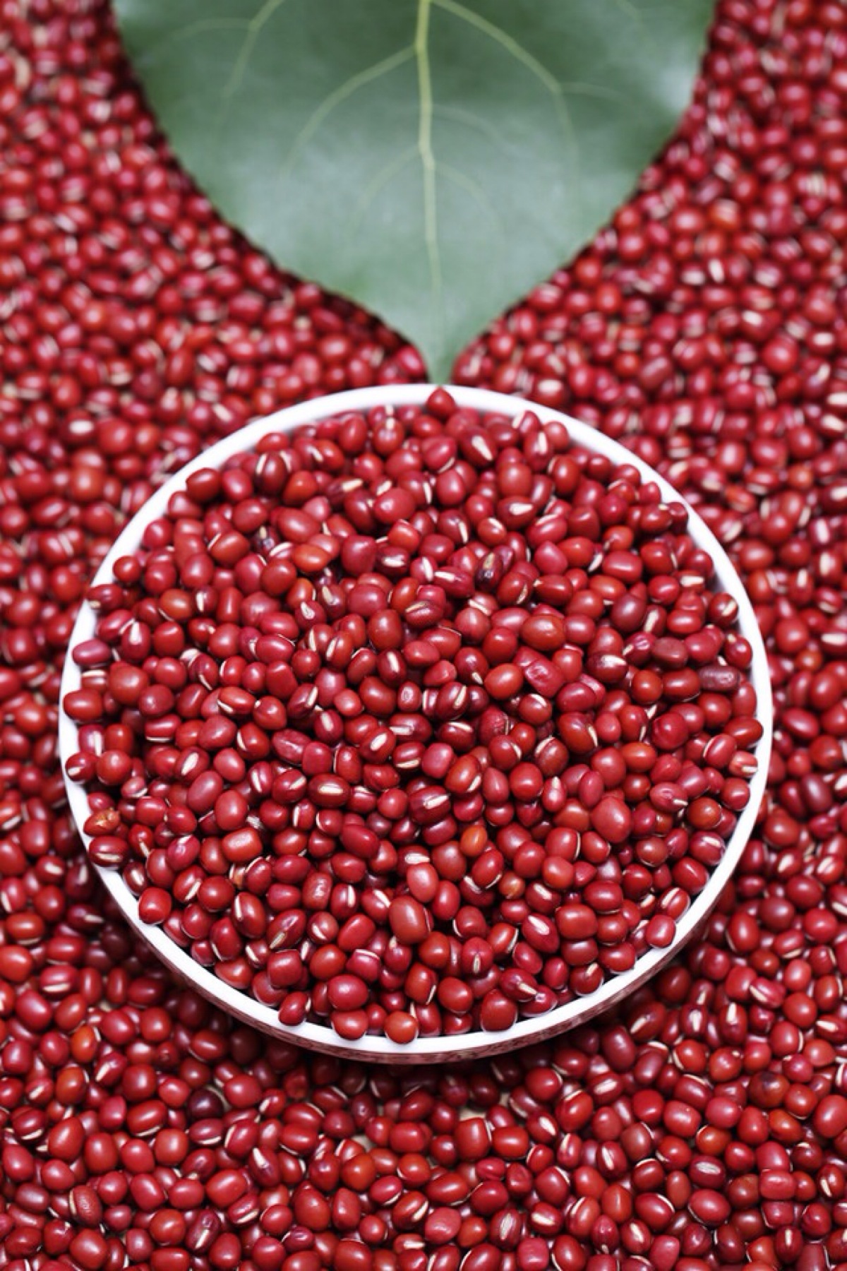 这个杀手很冷|每个人家里都有的食物，吃对了能养生，省一大笔药费