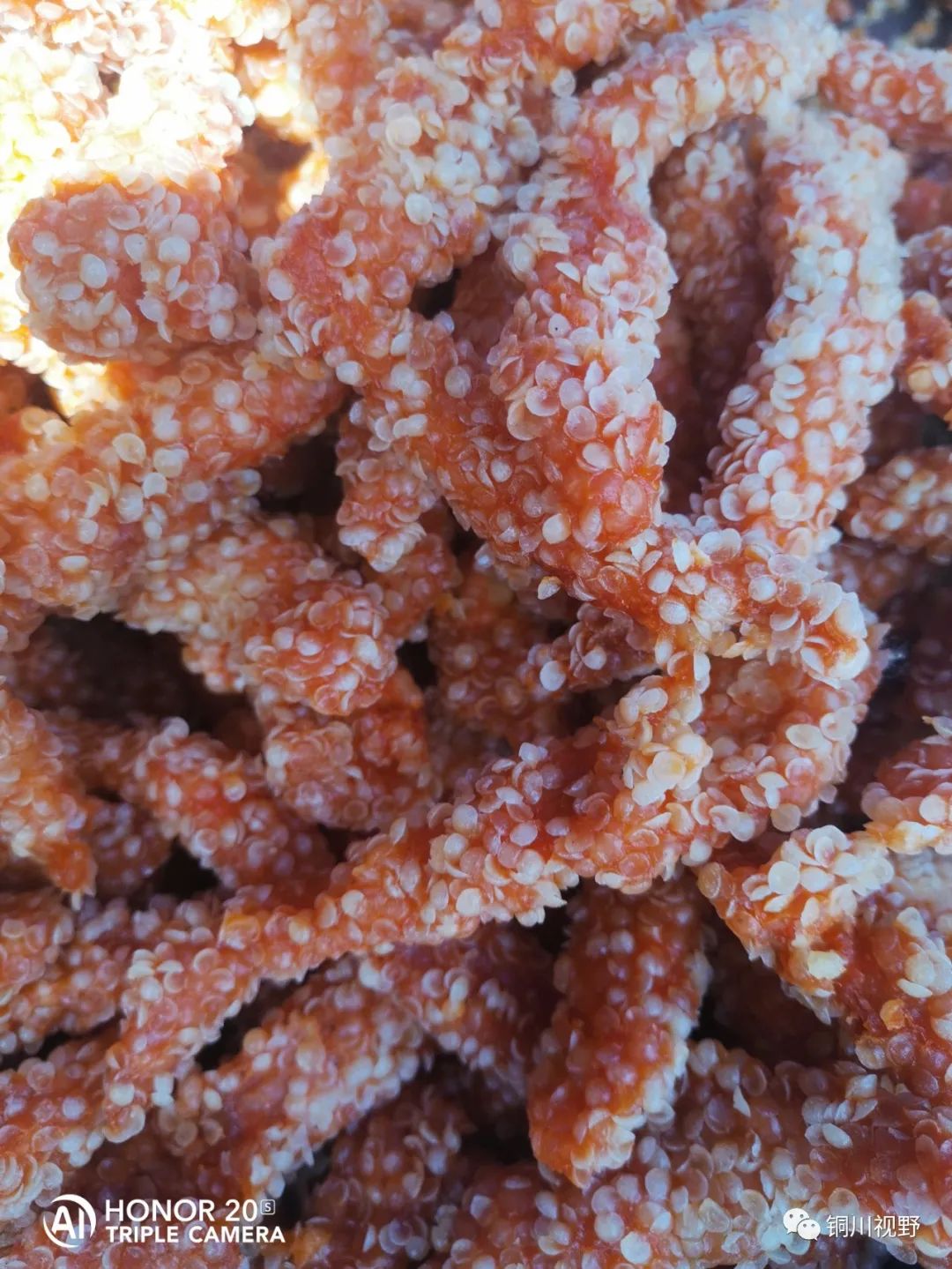 铜川周春辉 今天在铜川王家河会上逛了一圈