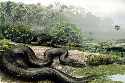 泰坦蟒 地狱巨蛇-泰坦蟒，挑战当今世界体型最大的3种蛇，结局会如何？