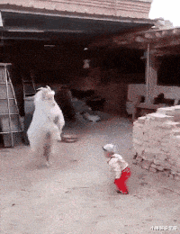 小琳解说星座|你都见过那些天理难容的男女关系？哈哈哈林子大了什么鸟都有