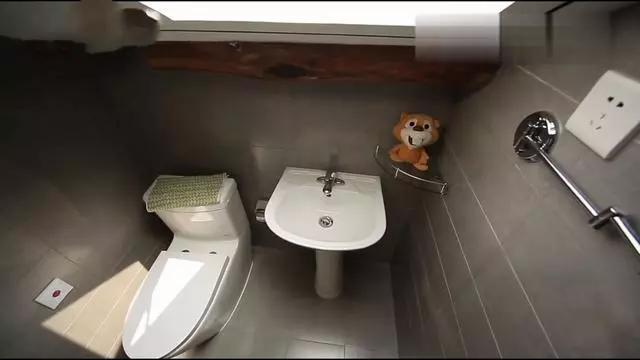 设计师|15米大树穿过20㎡老屋，一家人害怕遭雷劈，出价8万挖走也不敢卖