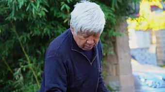 山楂|血液的“稀释剂”发现，不是山楂水，若你爱喝，血管或清如水