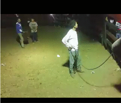 景甜|“易孕体质是种什么感觉？”三观无法令人苟同！哇哈哈哈哈～