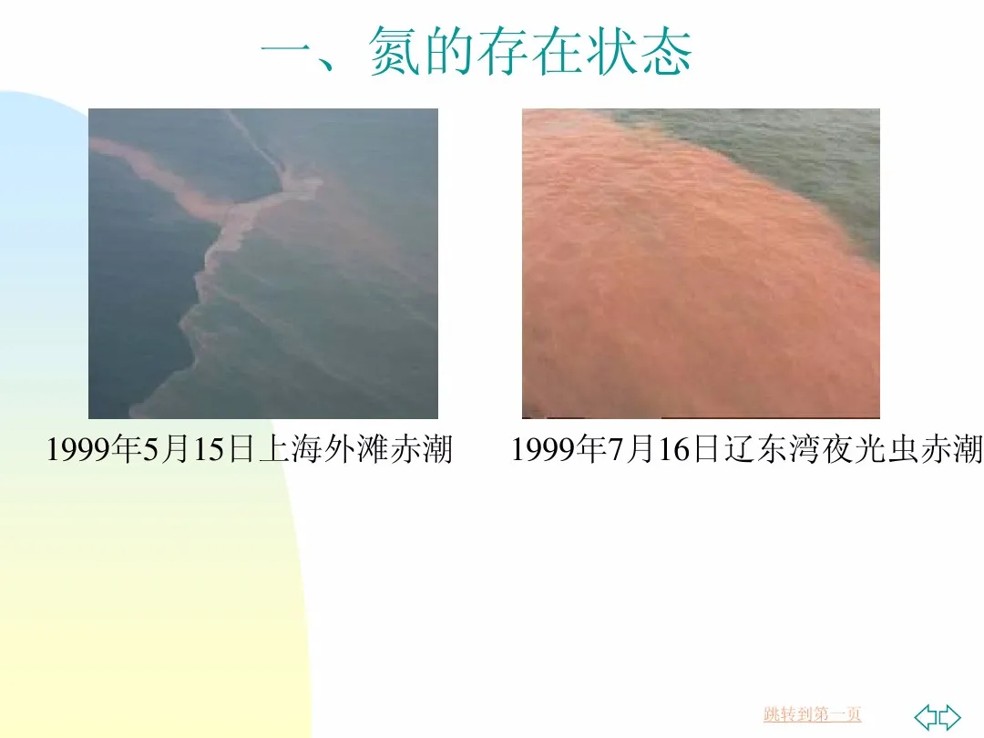 污水处理设备 污水处理脱氮除磷工艺,涂山环保