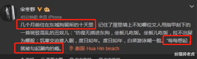 扮猫骑老虎 董小姐，你救不了那匹野马