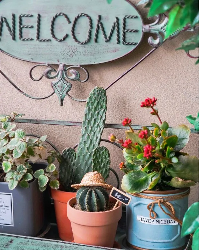 5㎡阳台小花园，一个超治愈的居家休闲空间