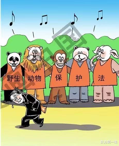 东方第一线 动物园饲养员直播给猴子化妆，推销美妆产品，饲养员：你看它多陶醉