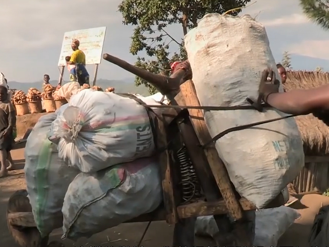 非洲人的“木牛流馬”，可以運輸400公斤貨物，在當地很流行-圖4