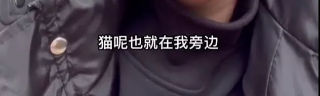 罗生门|知名导演深陷虐待丑闻，全网索要“原始视频”：果然又是他！