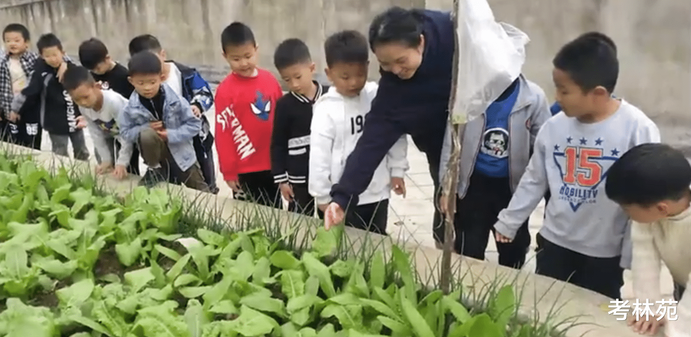 成都|成就感满满，成都小学生抱着亲手种的白菜回家，网友态度一边倒