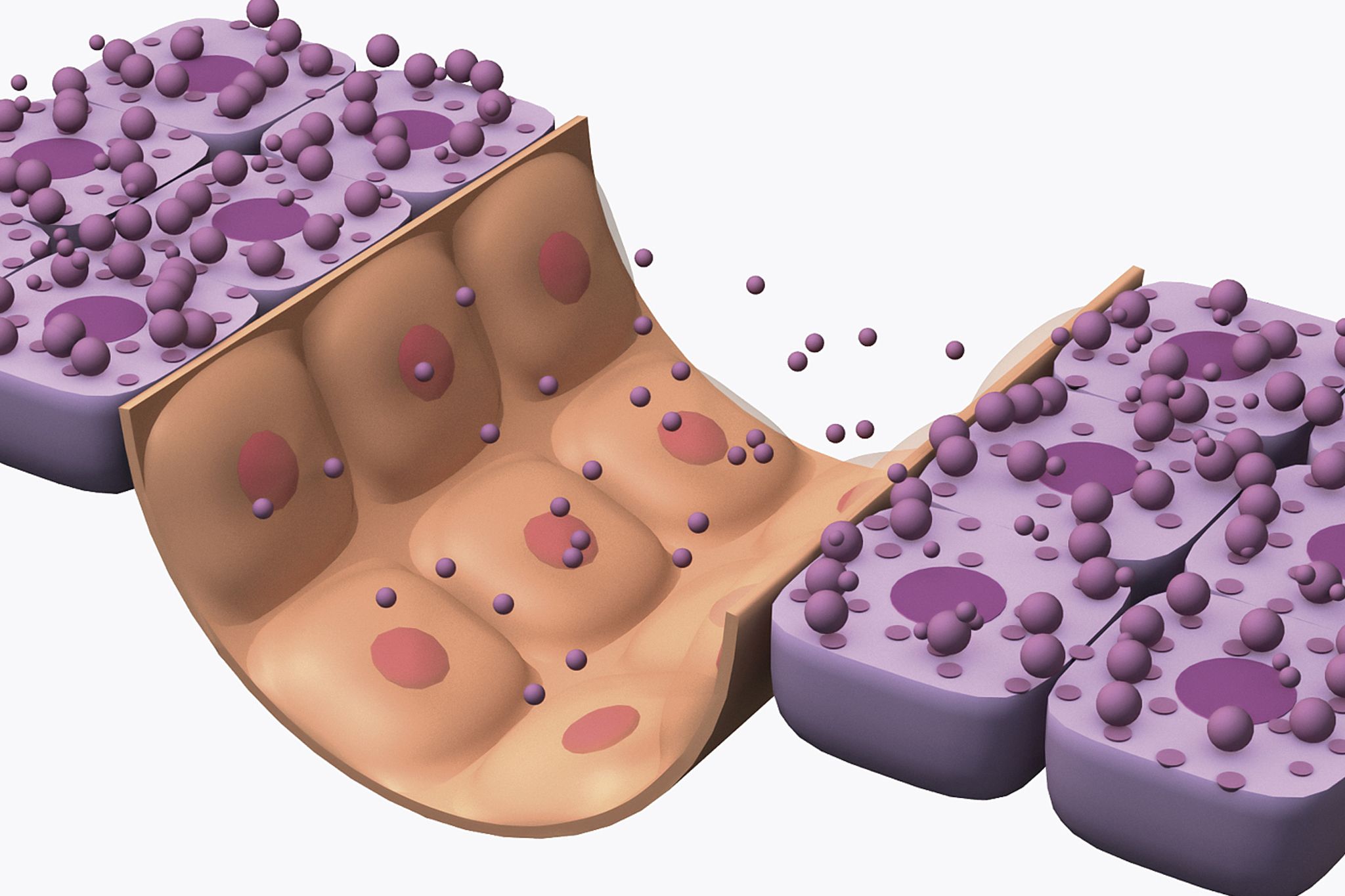 低血糖 长期不吃晚餐的人,最后都怎样了?除了变瘦,还会带来这4种后果