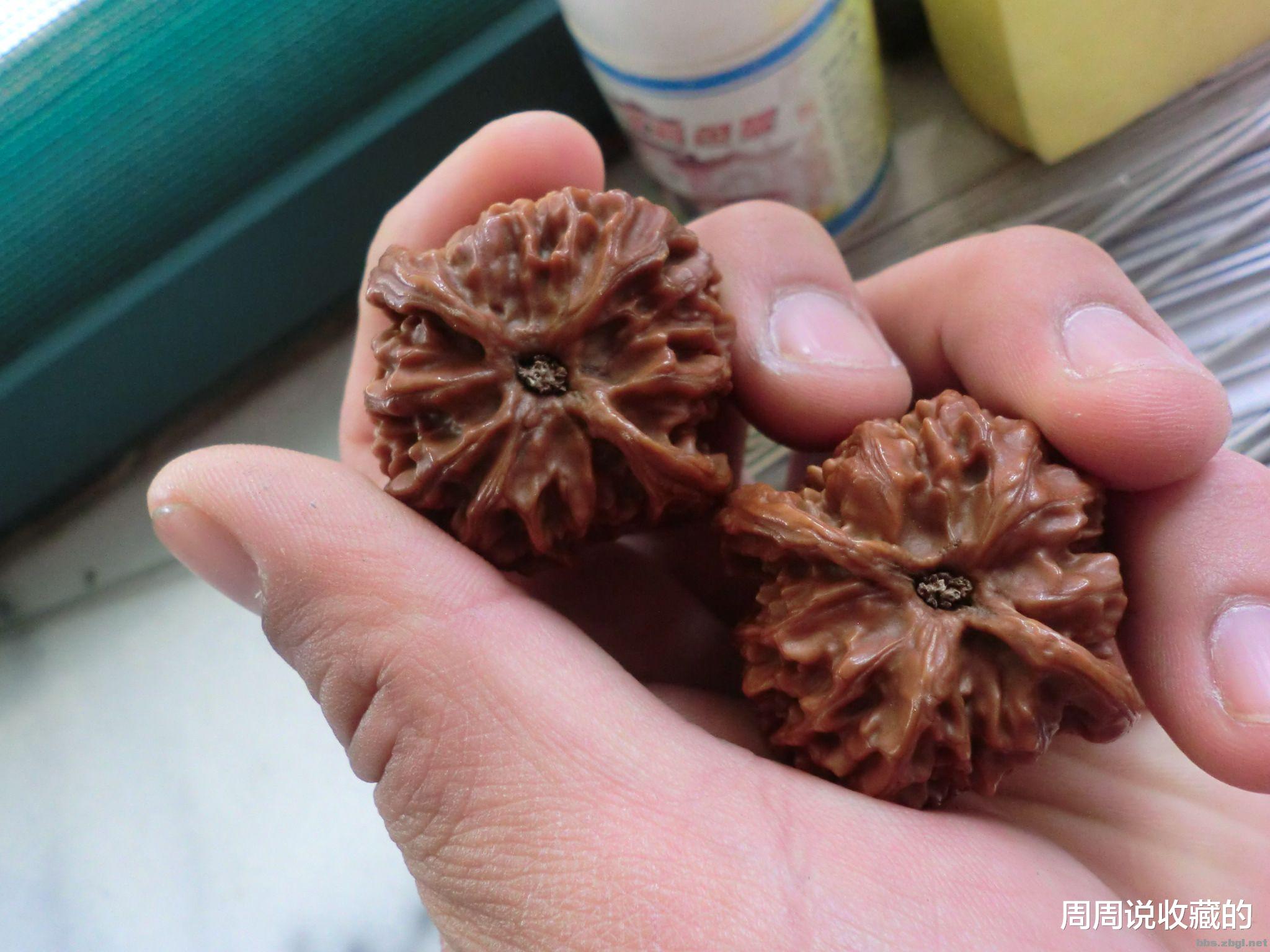 光绪元宝|你知道有哪些文玩核桃是不适合于把玩的吗？不知道的就来学习一下