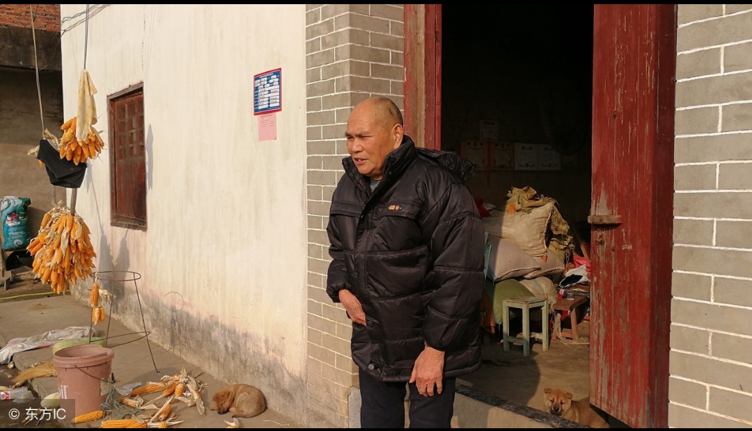 人生摇起来 知青往事：当年抛下农村婆姨和娃娃自己逃回城里，现在想想好愧疚
