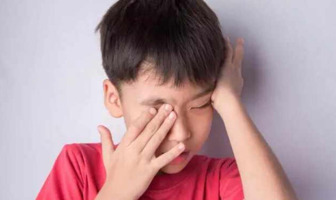 森林是越多越好吗?3.06亿年前的地球已给出了答案