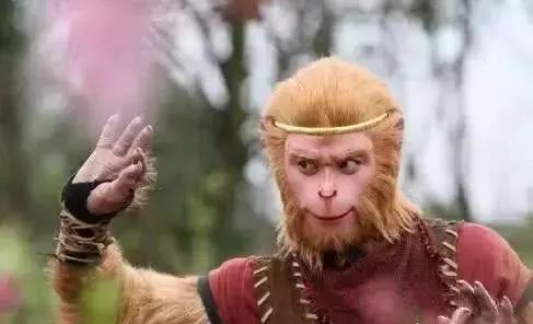 舜网 盘点各个版本的孙悟空造型，周星驰版孙悟空再去看就笑不起来了