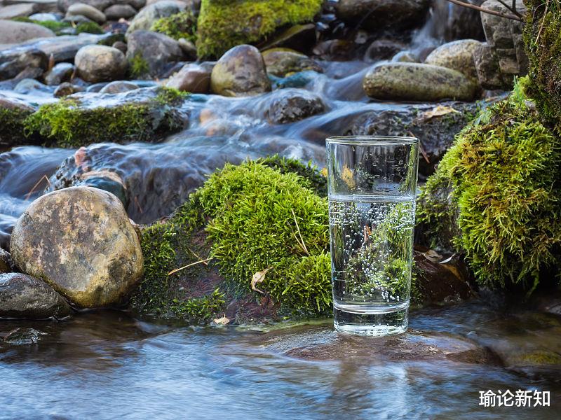 瑜论新知|两种五行成局,古今论述完全不同,读《禄命法千年沿革史》的感悟
