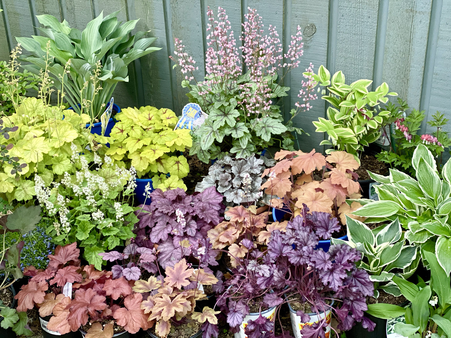 8㎡的狭长小道,也能建漂亮花园,对于阳台党来说非常值得借鉴