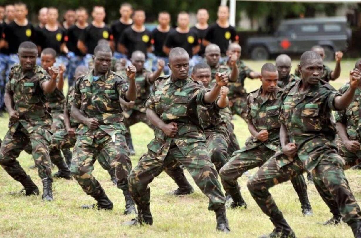中國幫助坦桑尼亞打造“最強非洲解放軍”，尼雷爾太英明有遠見-圖8