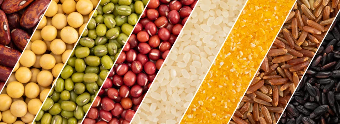 行星 现代科学看“早餐”