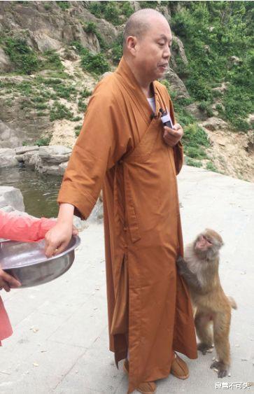 延参法师|窦文涛问因猴走红的延参法师：您见了女色真的没感觉吗？延参法师回答：我有信仰