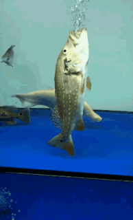 苏月瑾|“?女同事半夜发来了两张照片，问我哪张更好看，你们说这是啥意思啊？”