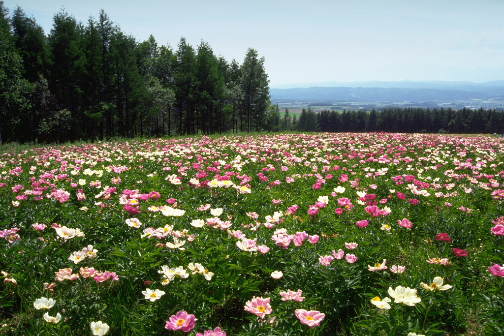 遇见小媛 想要翻身，一定要改掉四个让你穷一辈子的坏毛病