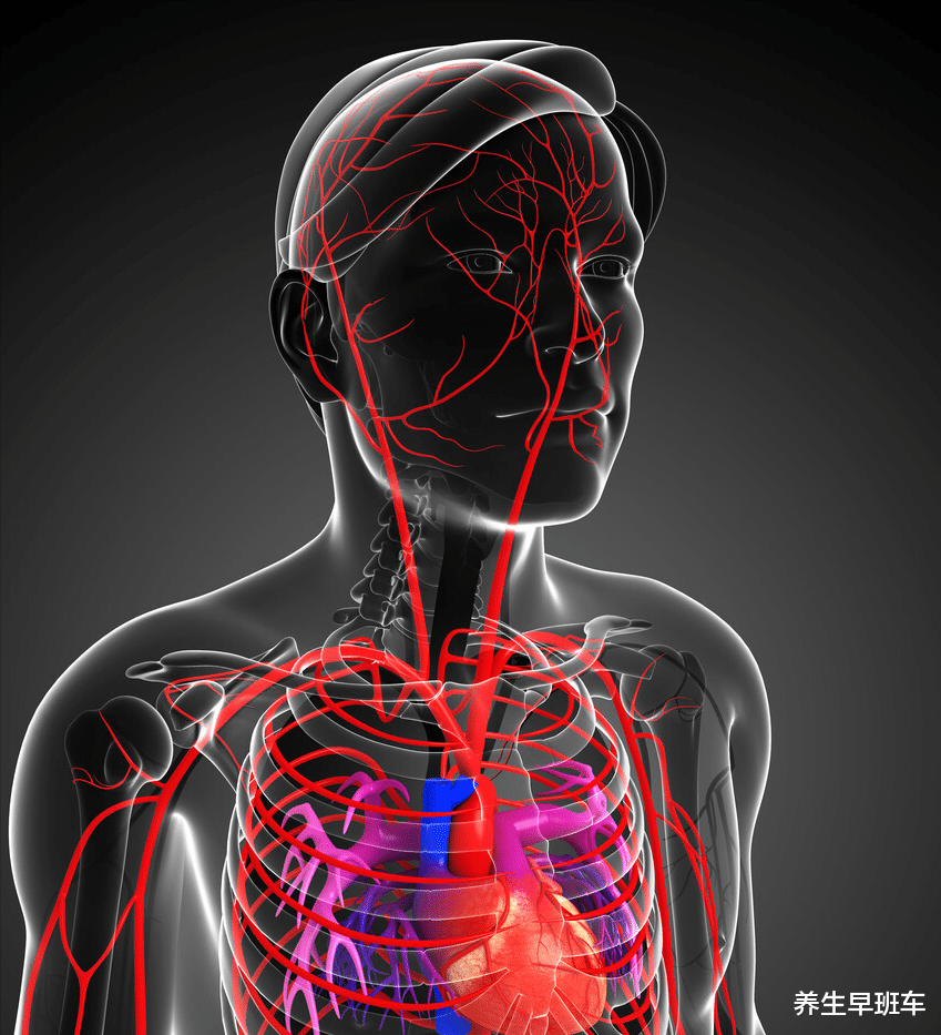 抗氧化剂|血管堵塞，手先知，手上若有4个表现，建议检查一下
