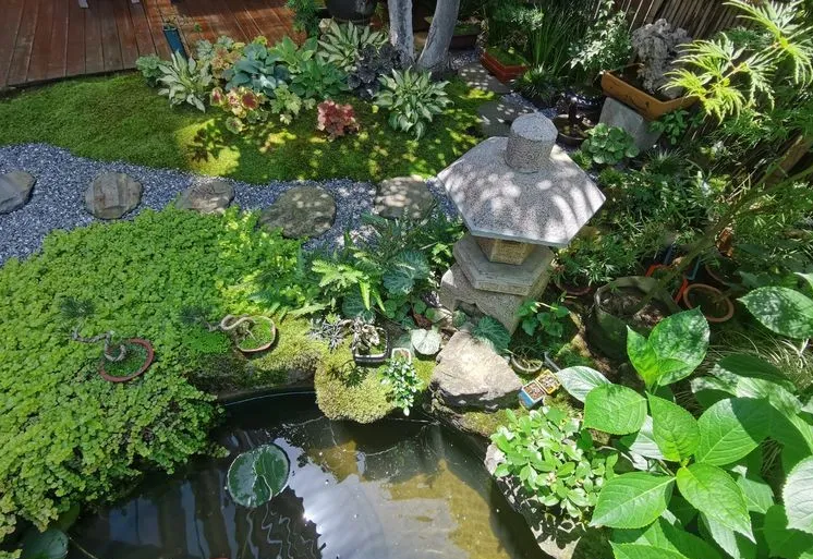 因为这个50㎡露台,买了这套房子,历时7年DIY打造成花园,太美了